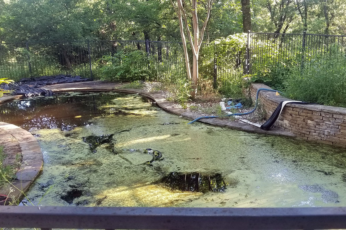 Pool drain and clean in Reisterstown, MD